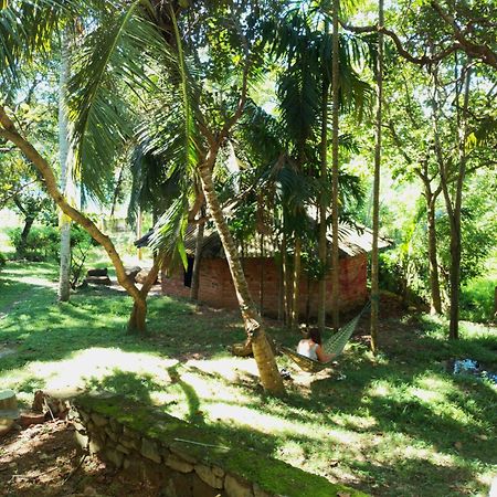 Albergue Hidden Well Hiriketiya Dikwella Sur Exterior foto