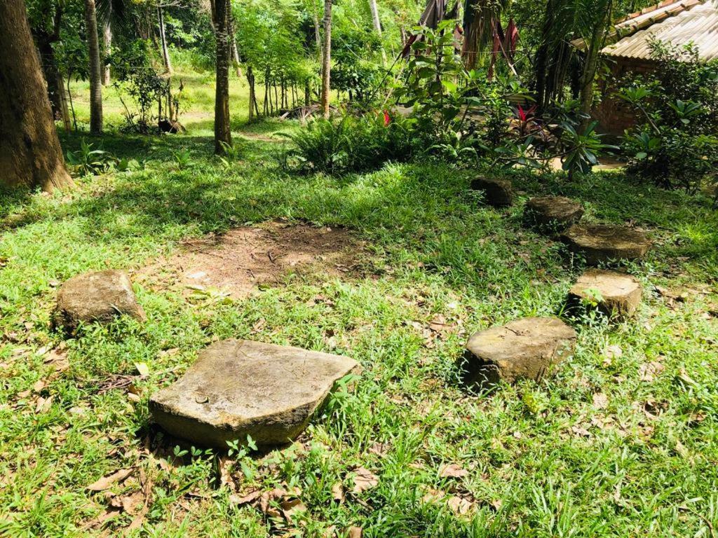 Albergue Hidden Well Hiriketiya Dikwella Sur Exterior foto
