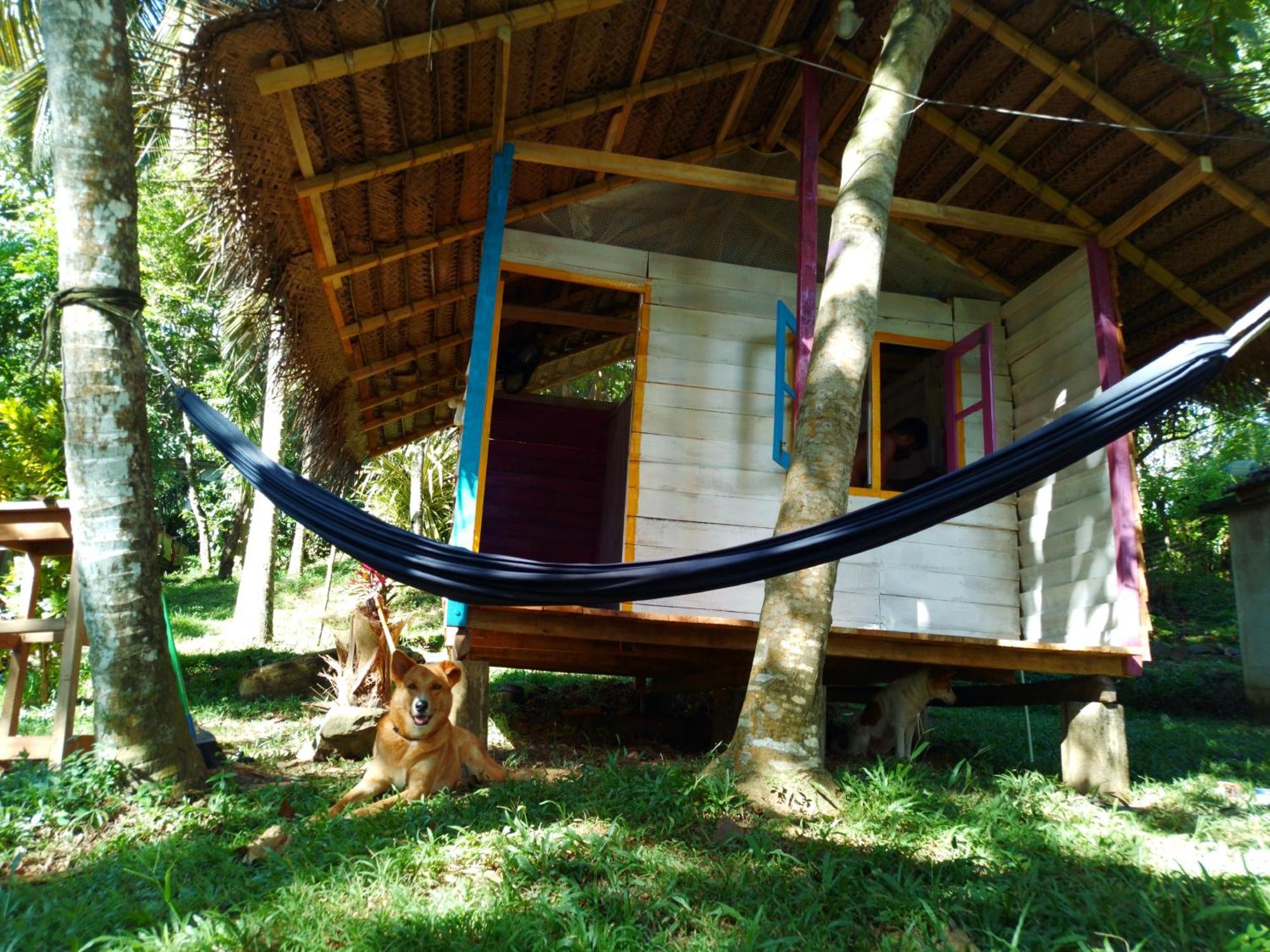 Albergue Hidden Well Hiriketiya Dikwella Sur Exterior foto