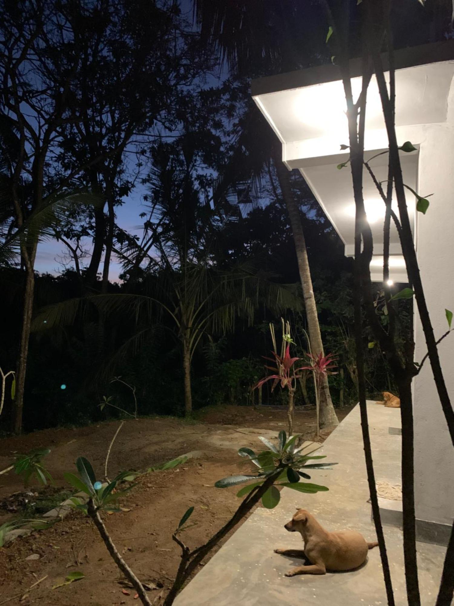 Albergue Hidden Well Hiriketiya Dikwella Sur Exterior foto