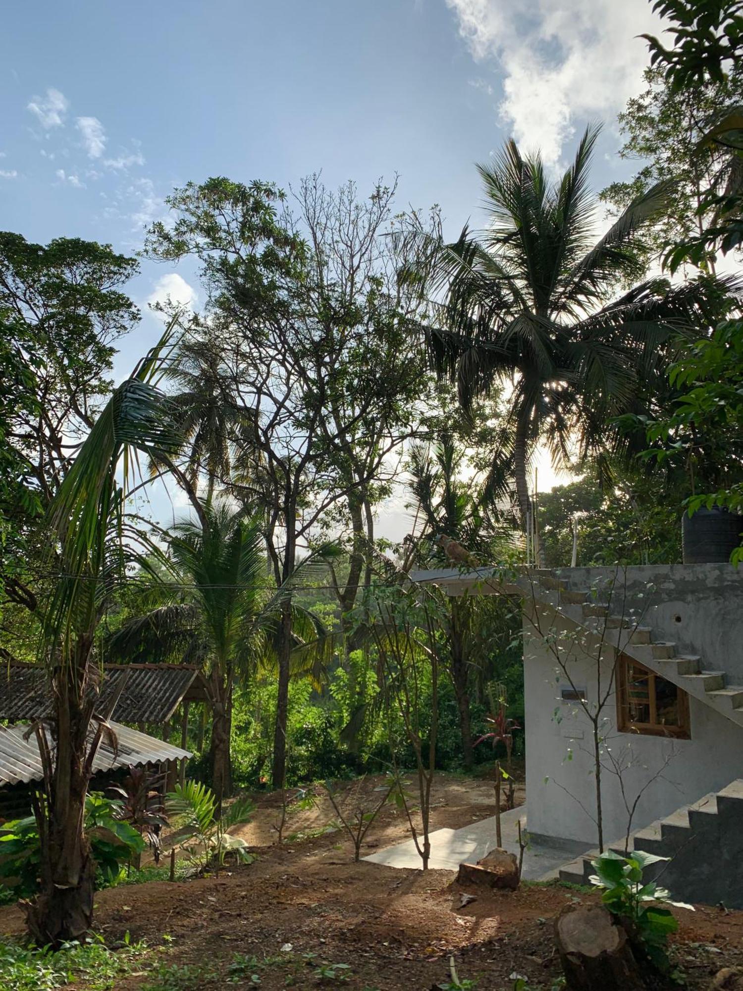 Albergue Hidden Well Hiriketiya Dikwella Sur Exterior foto