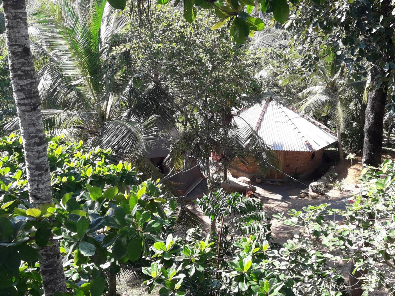 Albergue Hidden Well Hiriketiya Dikwella Sur Exterior foto