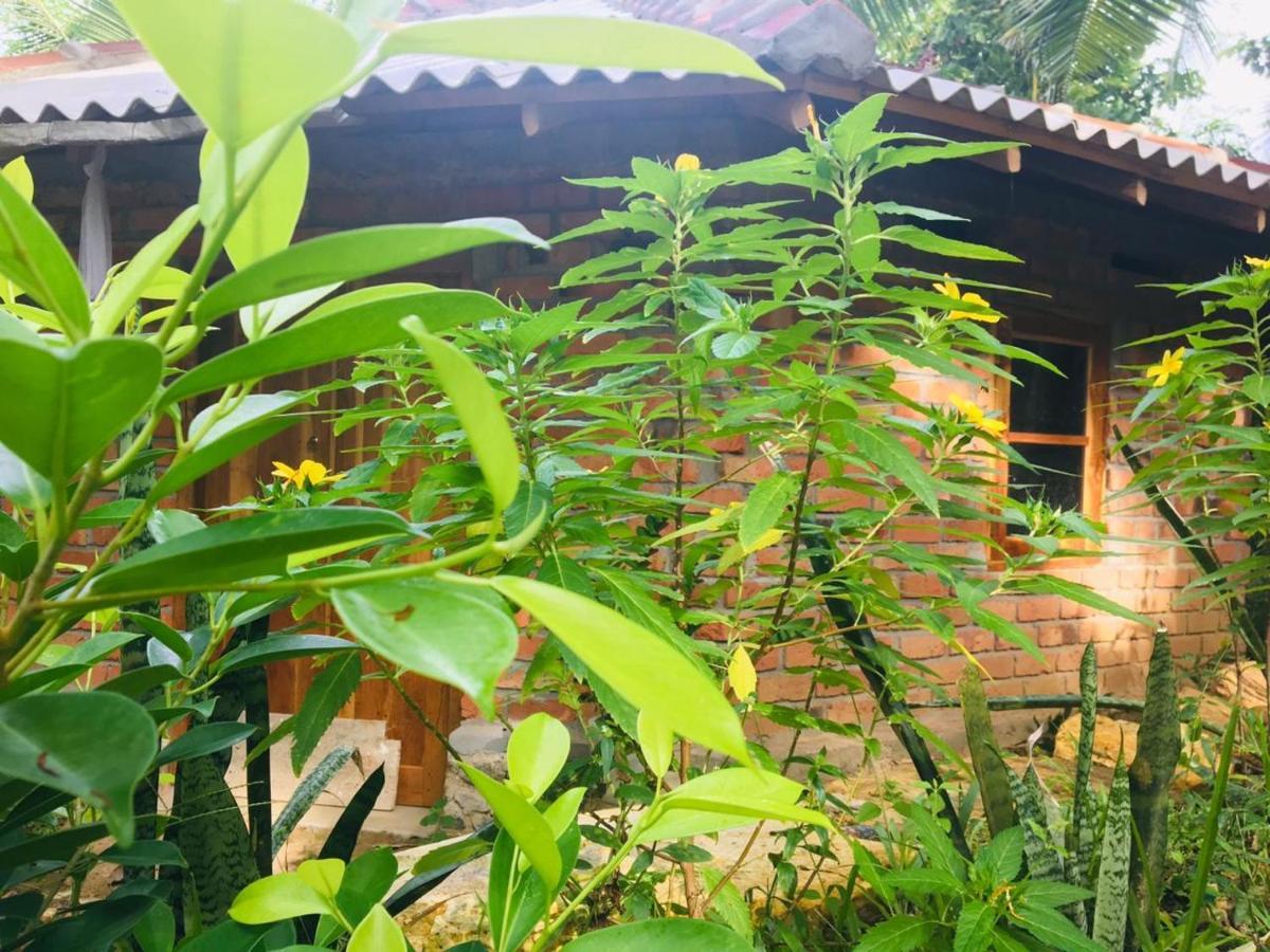 Albergue Hidden Well Hiriketiya Dikwella Sur Exterior foto